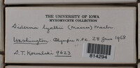Image Associated With the Occurence